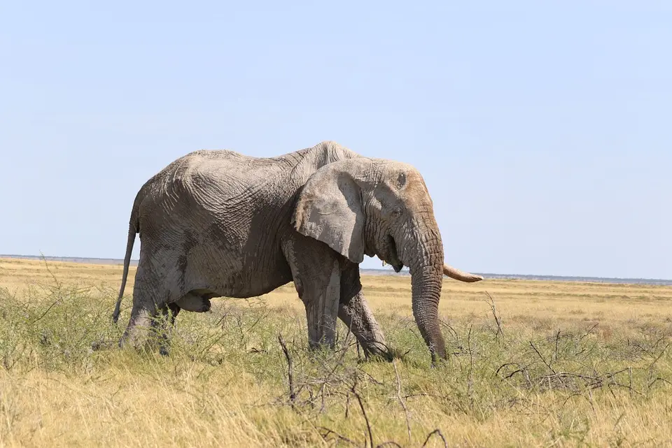 Namibia_(71).jpg