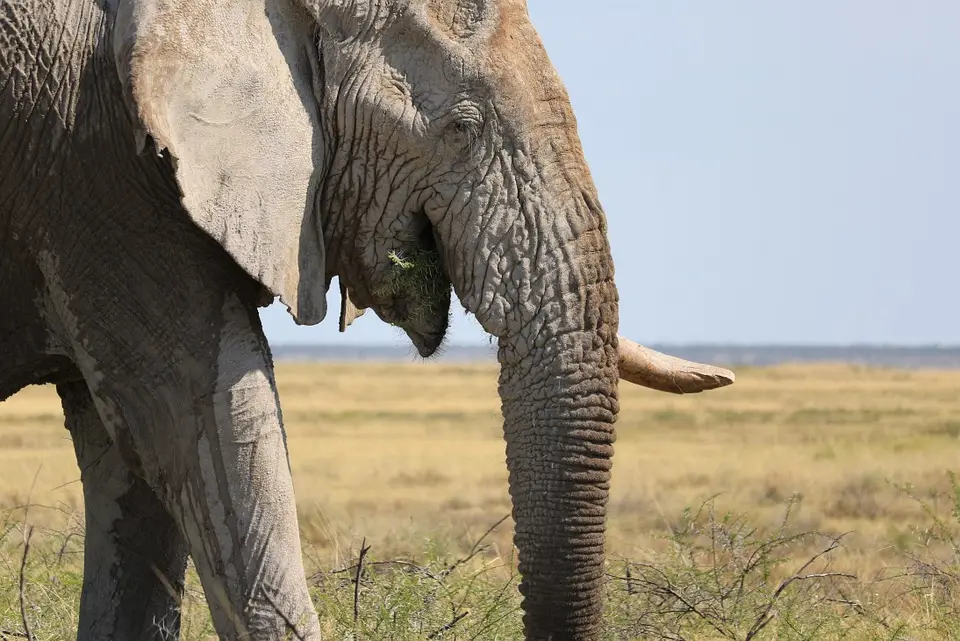 Namibia_(73).jpg
