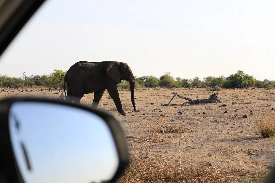 Namibia_(8).jpg