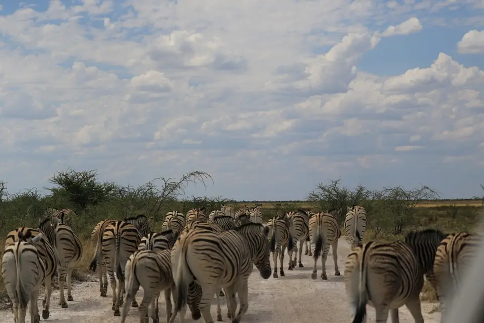 Namibia_(83).jpg