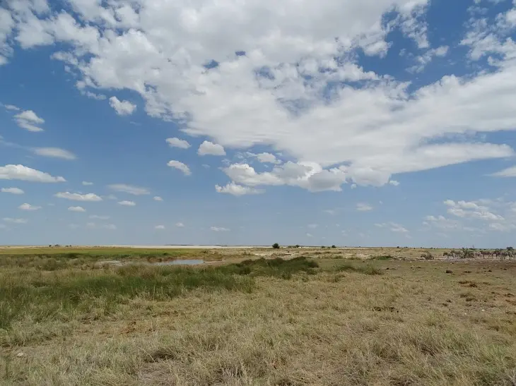 Namibia_(85).jpg