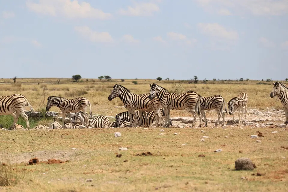 Namibia_(86).jpg