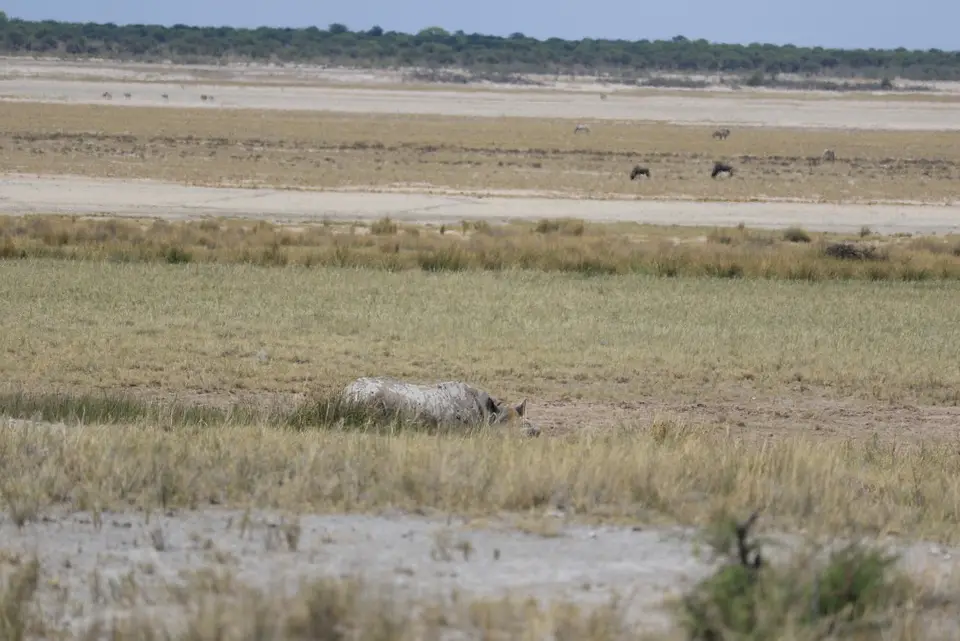 Namibia_(97).jpg