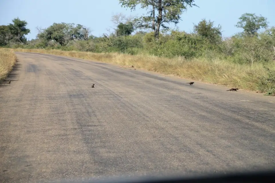 S.A(23)-2-3-4-5-6-7-8-9-10-11-12-13-14-15-16-17-18-19-20-21-22.jpg