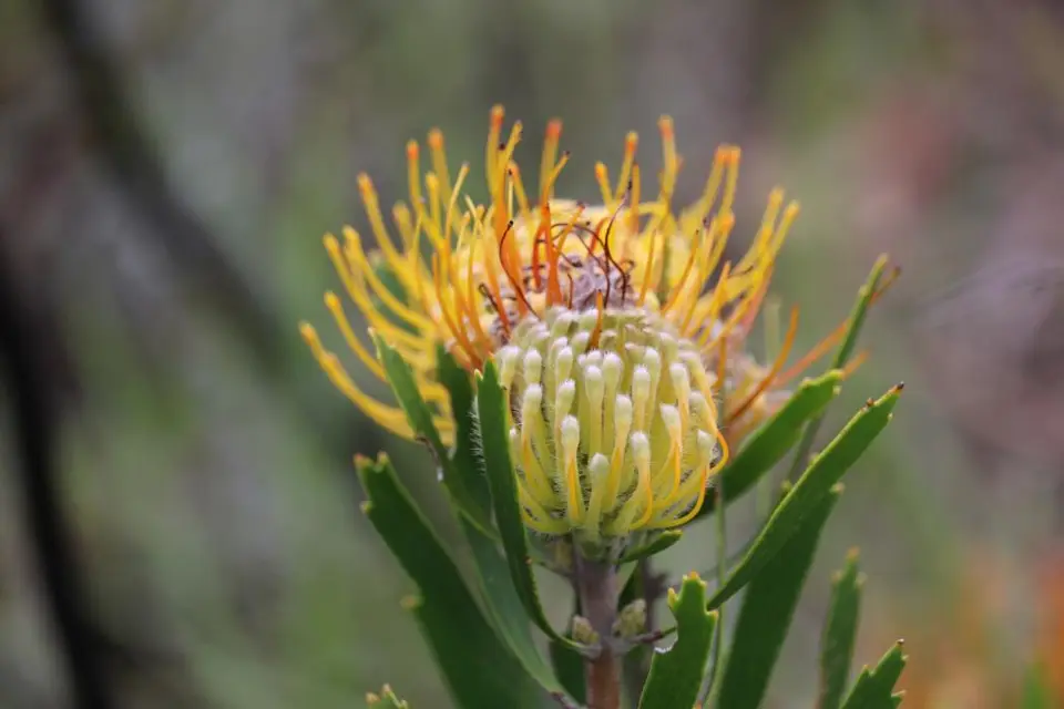 S.A(23)-2-3-4-5-6.jpg