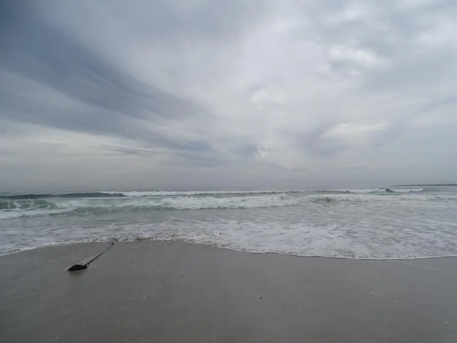 S.A.1(163).jpg