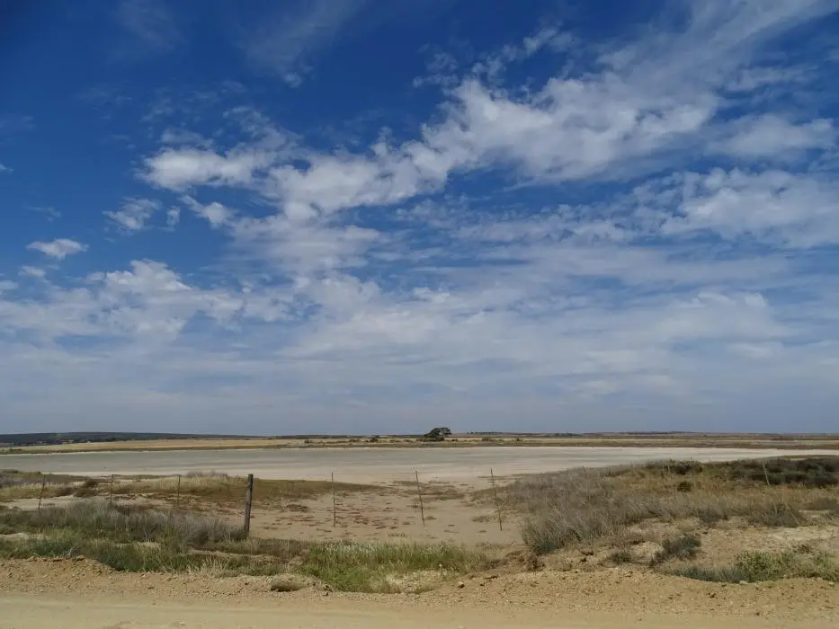S.A.1(257).jpg
