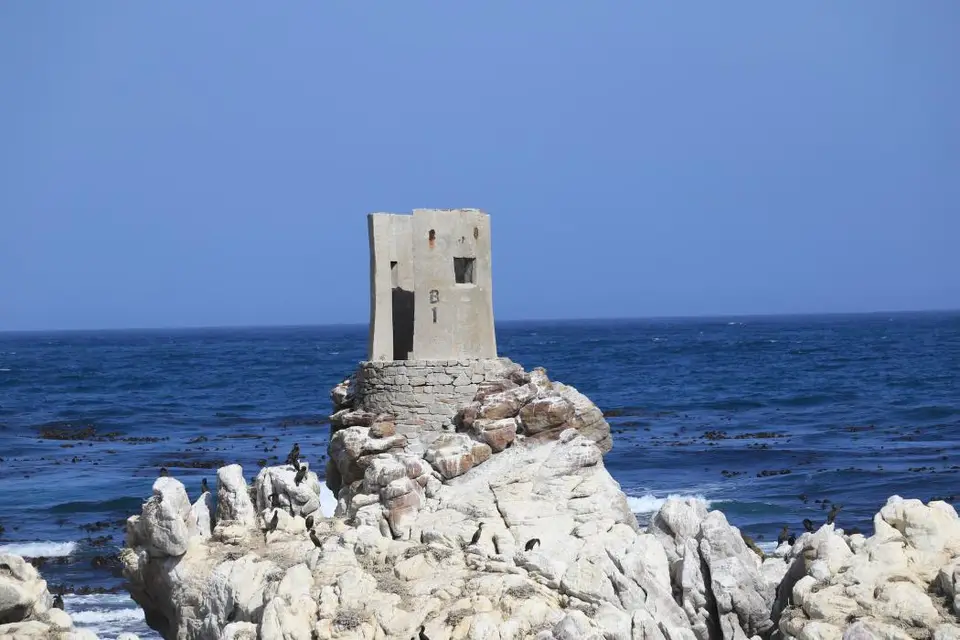 S.A.1(303).jpg