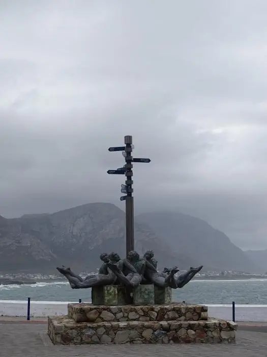 S.A.1(31).jpg