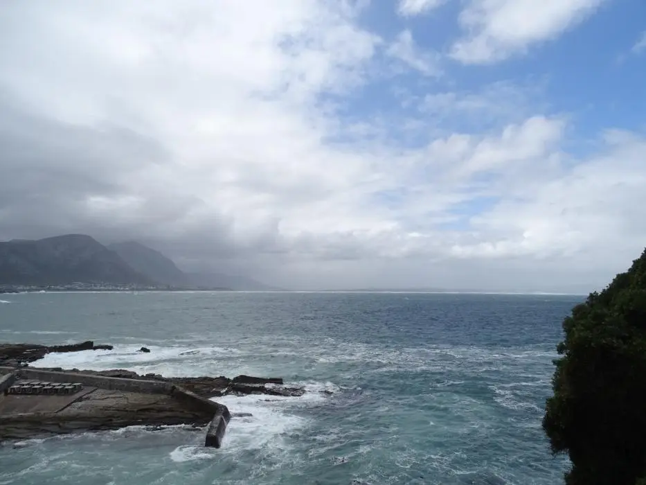 S.A.1(33).jpg