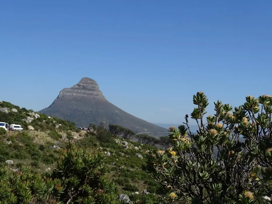 S.A.2017_001-2.jpg