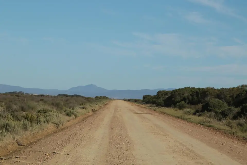 S.A.2017_005-2-3.jpg