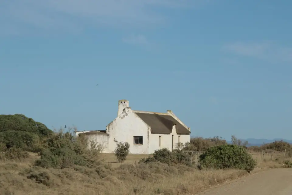 S.A.2017_006-2.jpg