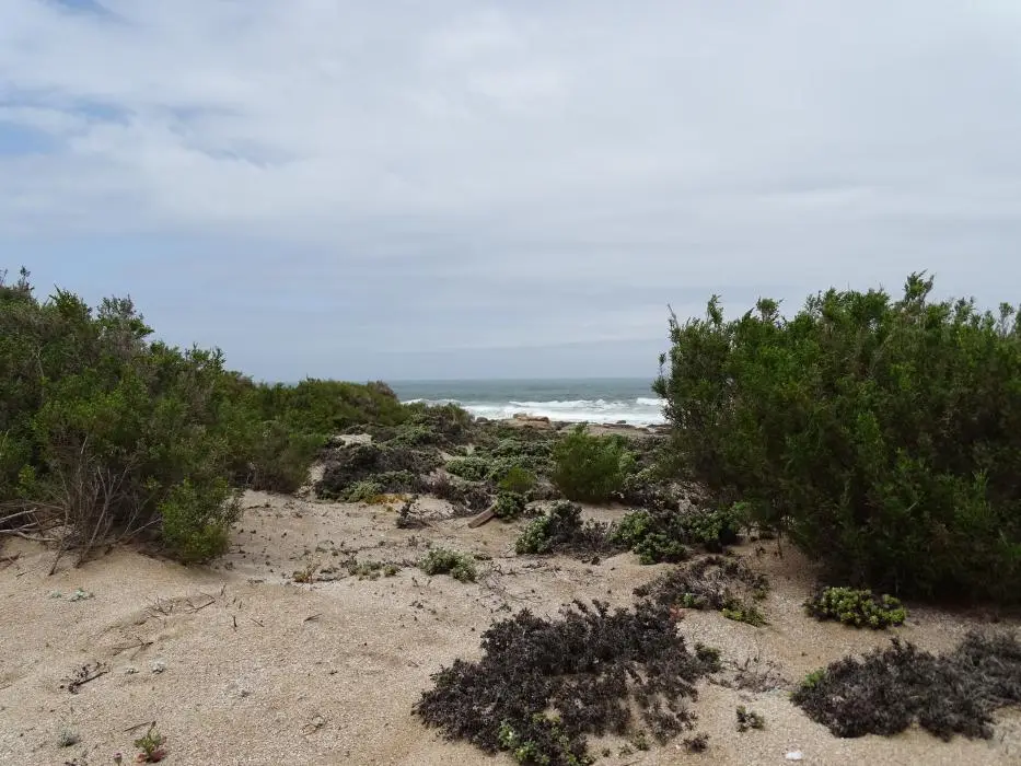 S.A.2017_033-2.jpg