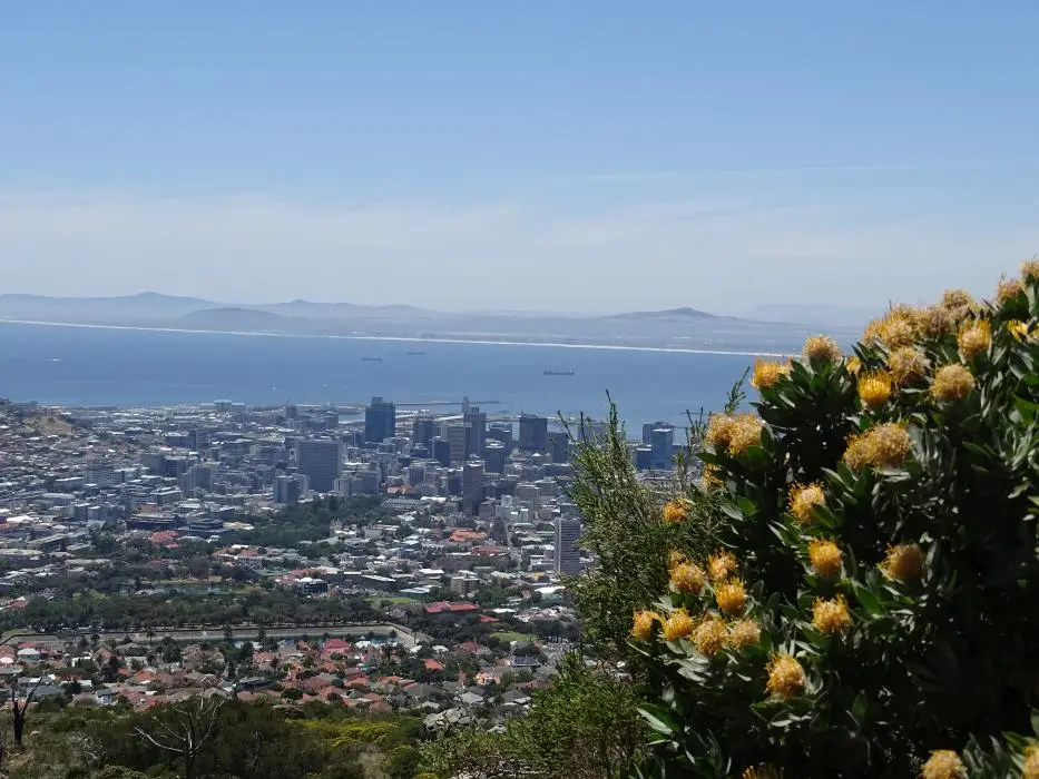 S.A.2017_068-2.jpg