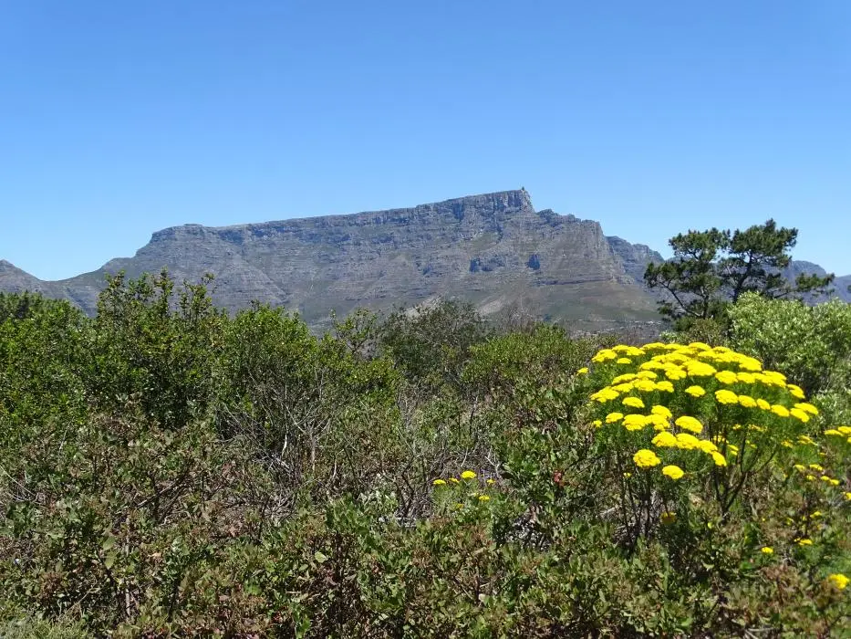 S.A.2017_078-2-3.jpg