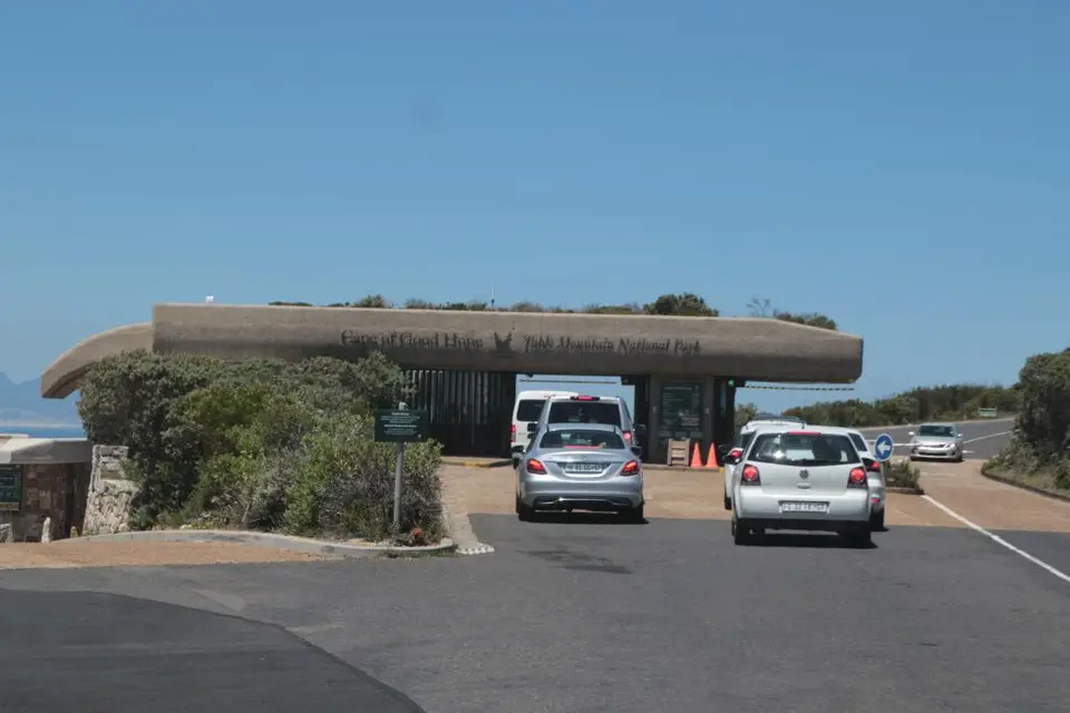 S.A.2017_088-2.jpg