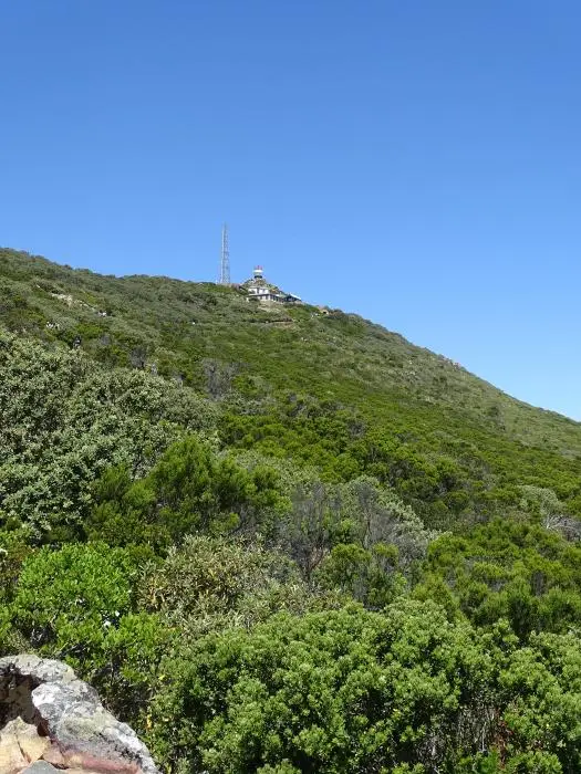 S.A.2017_093-2.jpg