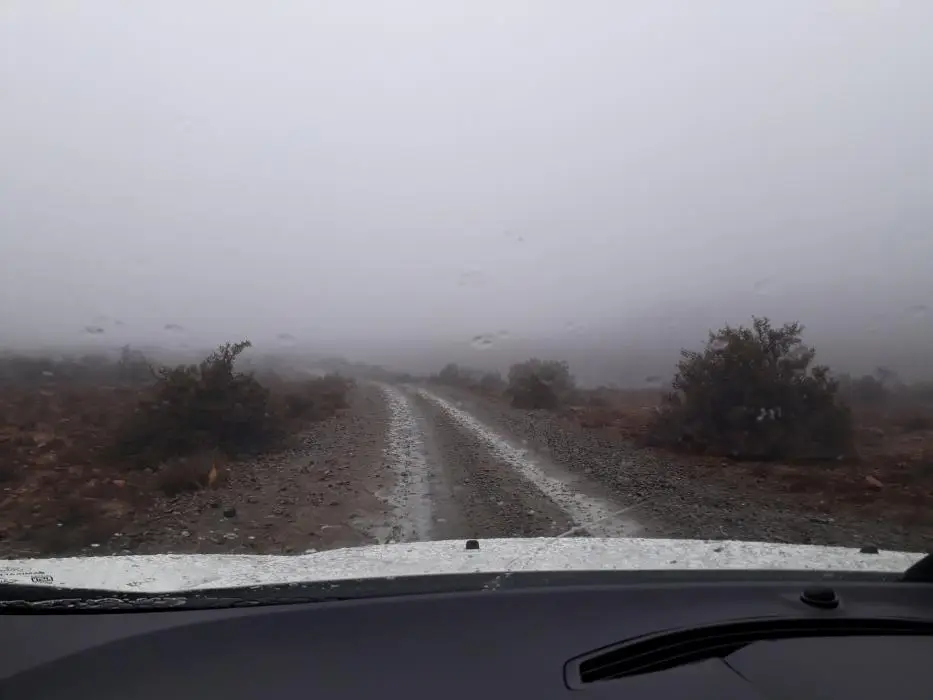 S.A.2018_002-2-3-4-5-6.jpg