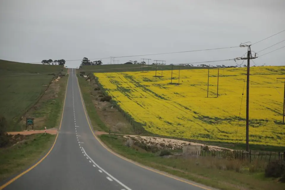 S.A.2018_005-2-3-4-5-6-7-8.jpg