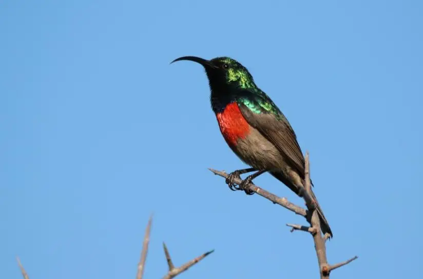 S.A.2018_006-2-3-4-5-6-7-8.jpg