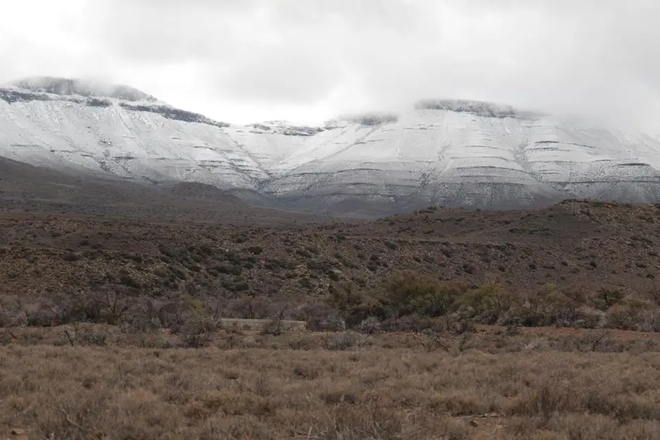 S.A.2018_012-2-3-4.jpg