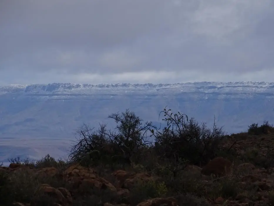 S.A.2018_013-2-3-4-5.jpg