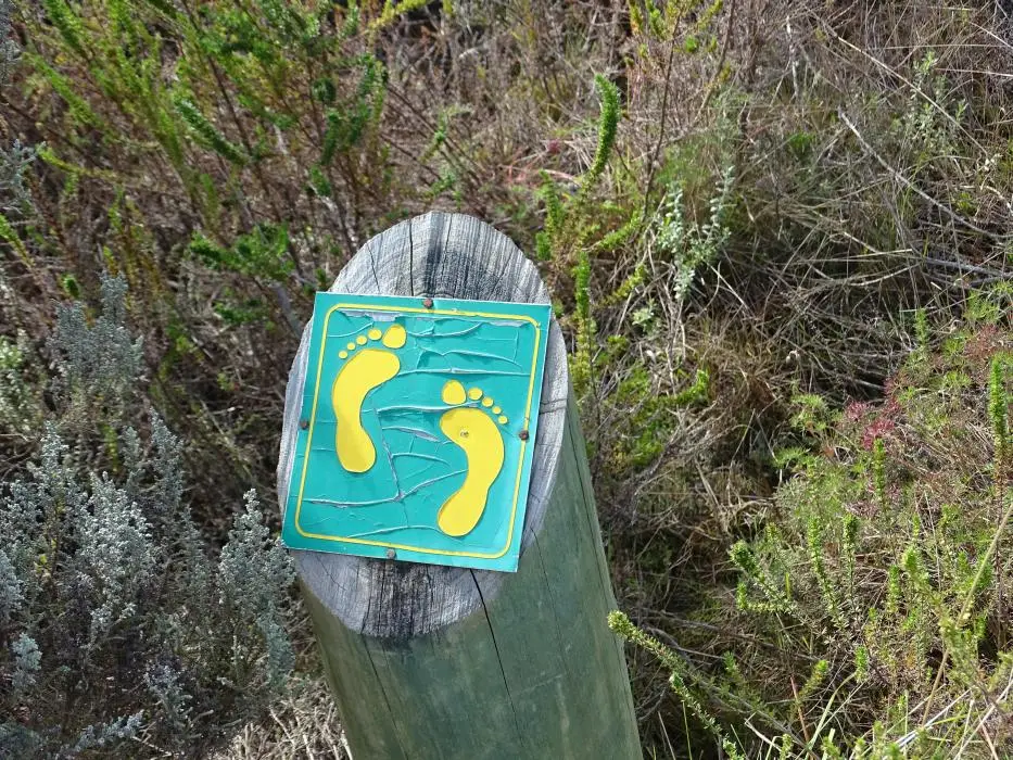 S.A.2018_017-2-3-4-5-6-7.jpg