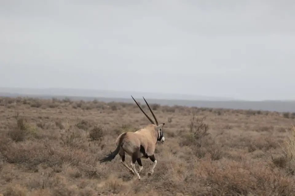 S.A.2018_027-2-3.jpg