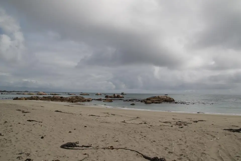 S.A.2018_028-2.jpg