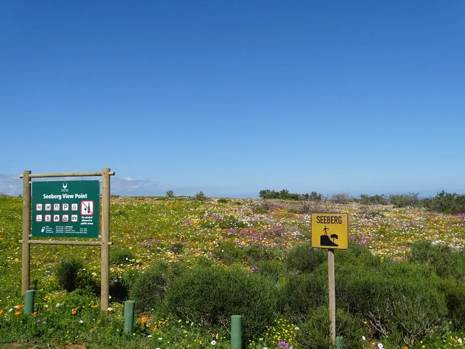 S.A.2018_060-2.jpg