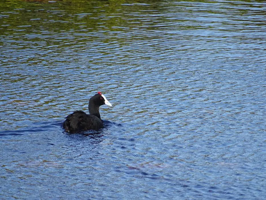 S.A.2018_079.jpg
