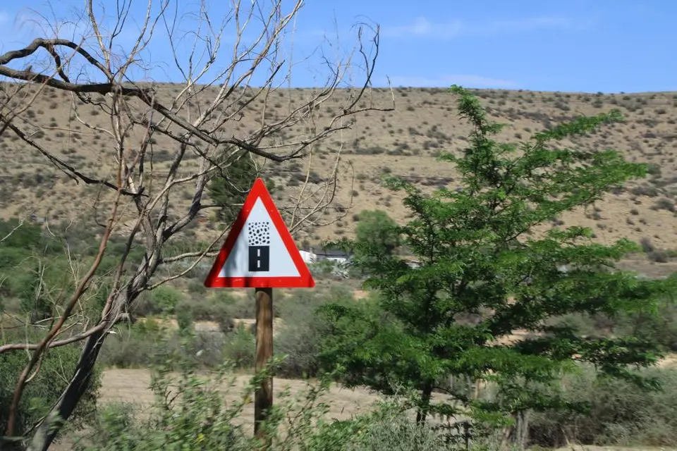 S.A01(10)-2.jpg