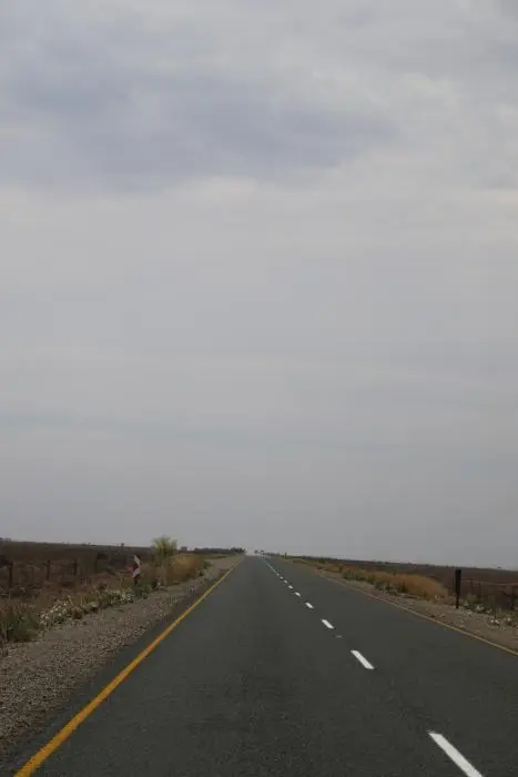 S.A01(12).jpg
