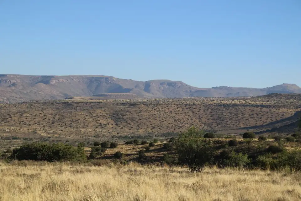 S.A01(84)-2.jpg
