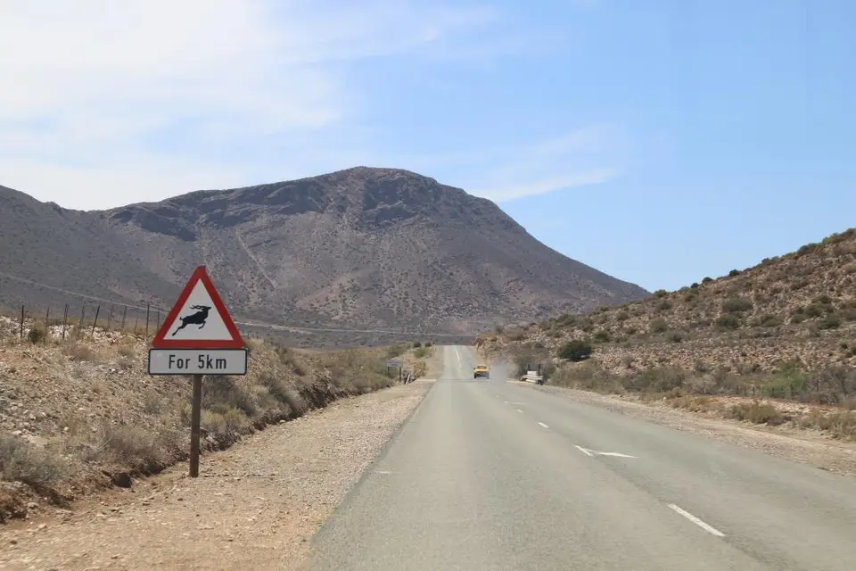 S.A1(21).jpg