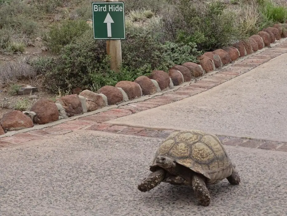 S.A1(70).jpg
