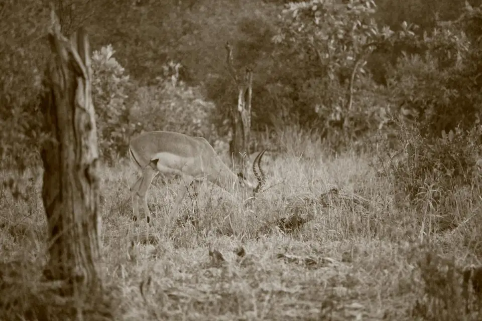 SA2016_005-2-3-4.jpg