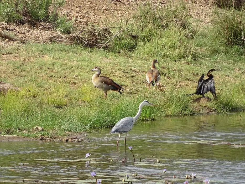 SA2016_039-2-3-4.jpg