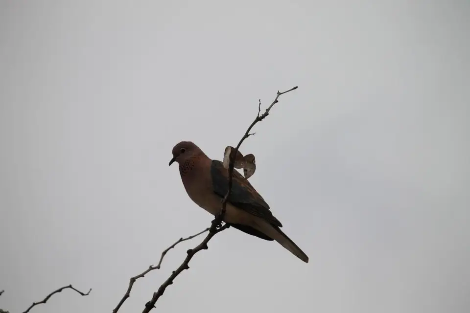 SA2016_053-2-3-4.jpg
