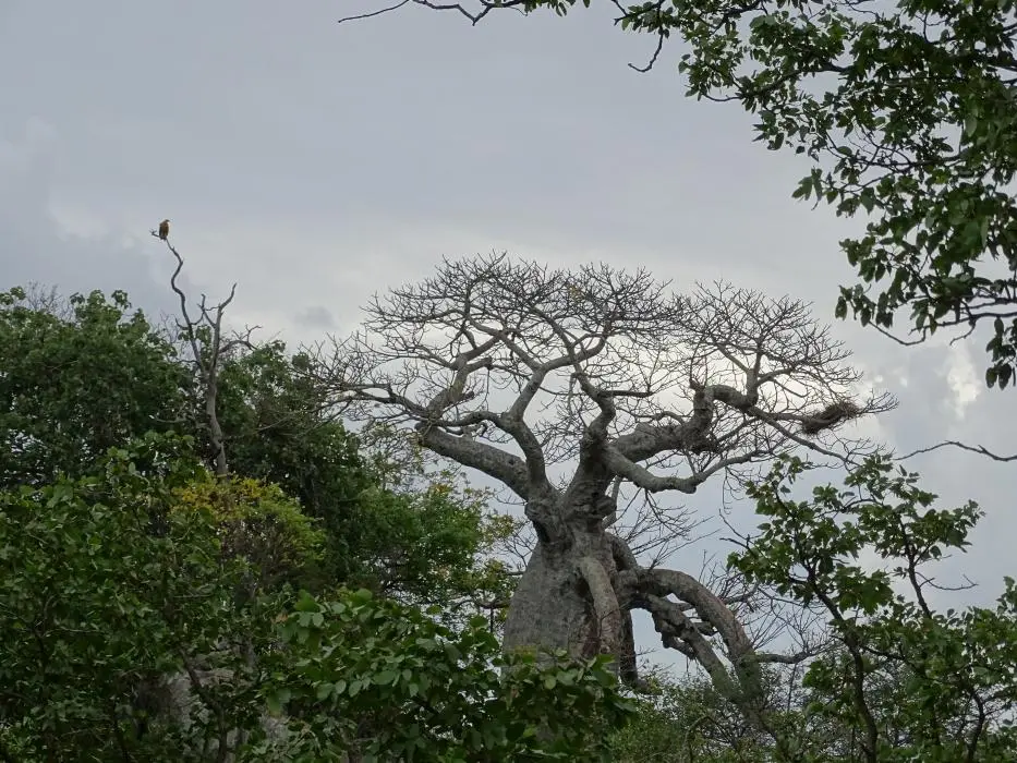 SA2016_054-2-3.jpg