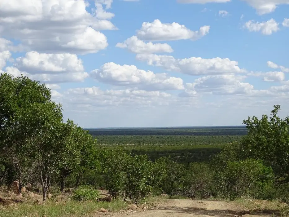 SA2016_064-2.jpg