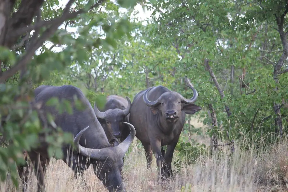 SA2016_071-2.jpg