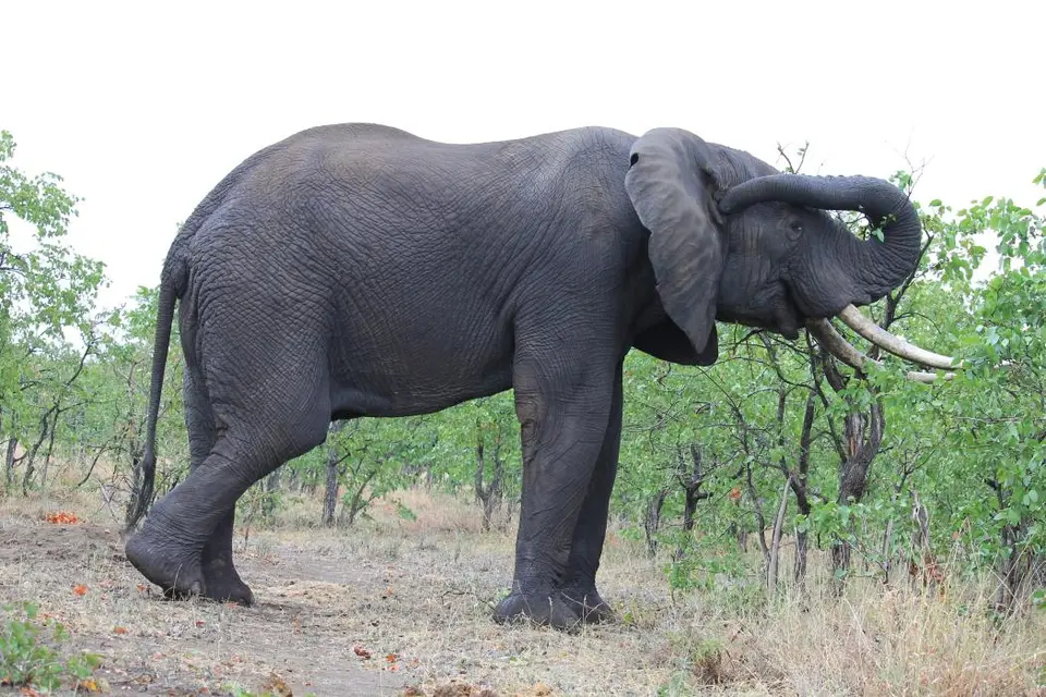 SA2016_072-2-3.jpg