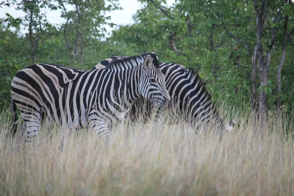 SA2016_074-2.jpg