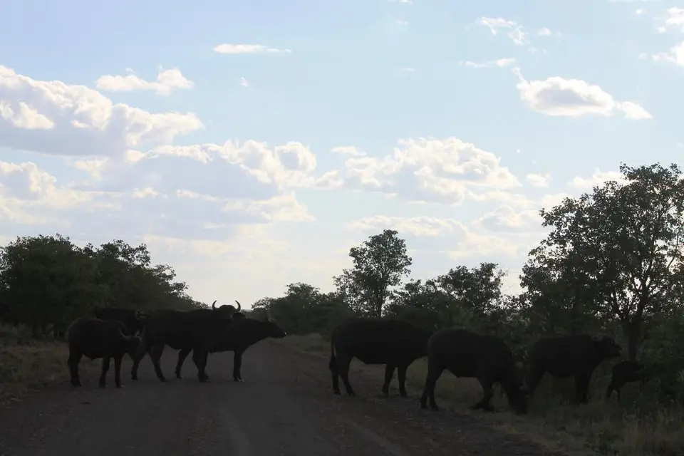 SA2016_075-2.jpg