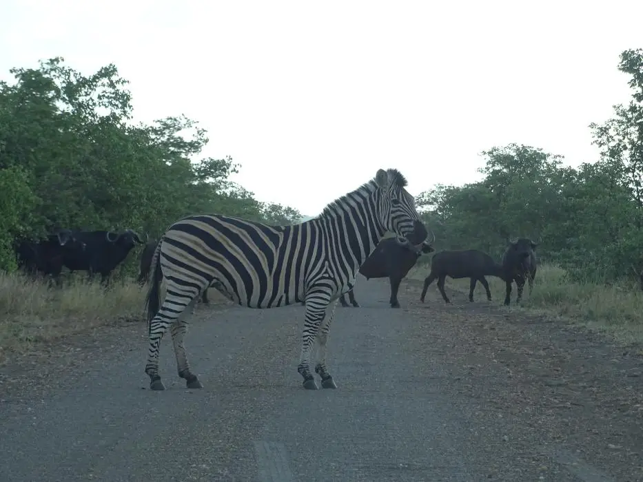 SA2016_076-2.jpg