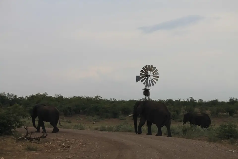 SA2016_077-2-3.jpg