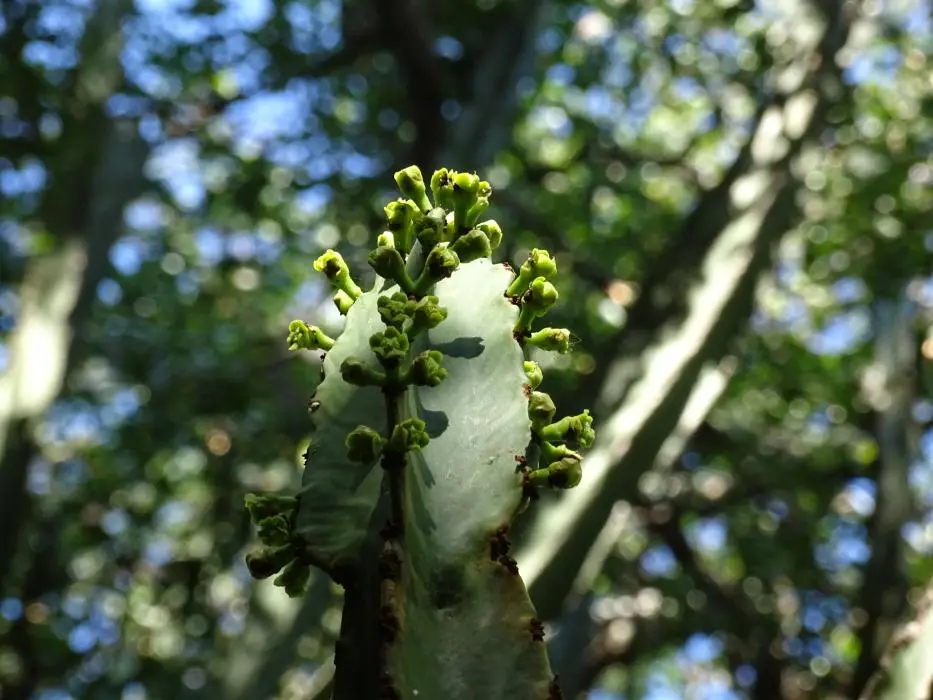 SA2016_078.jpg