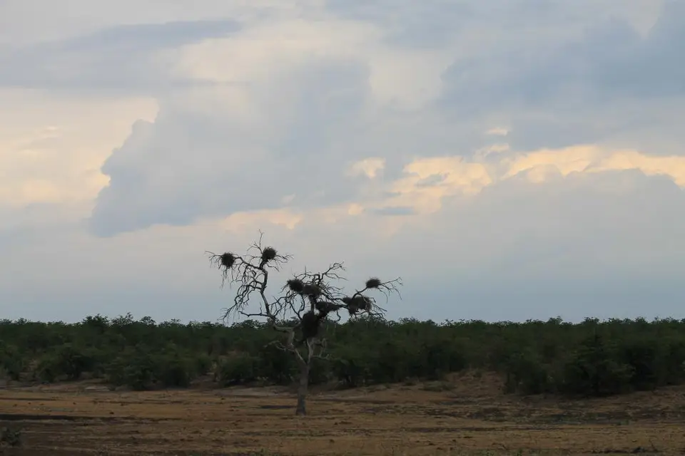 SA2016_080-2-3.jpg
